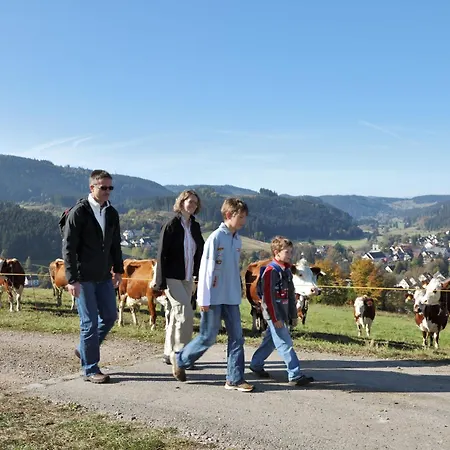 Waldwinkel Lenzkirch