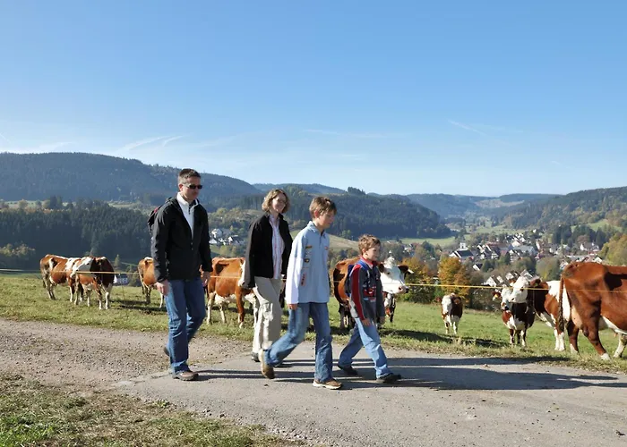 Waldwinkel Lenzkirch