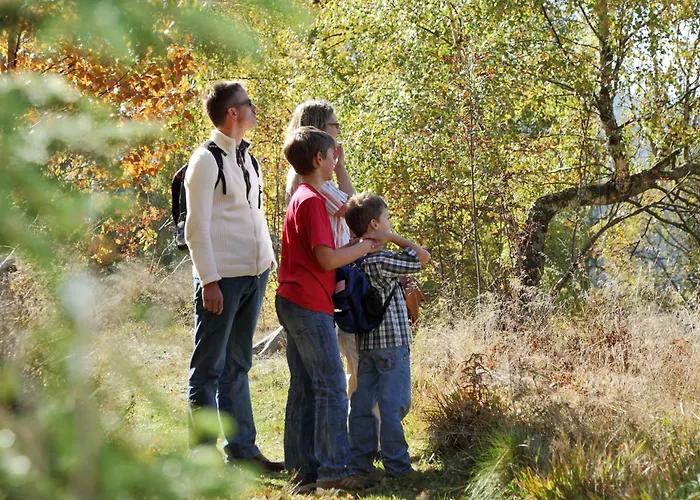 Gasthof Waldwinkel Lenzkirch